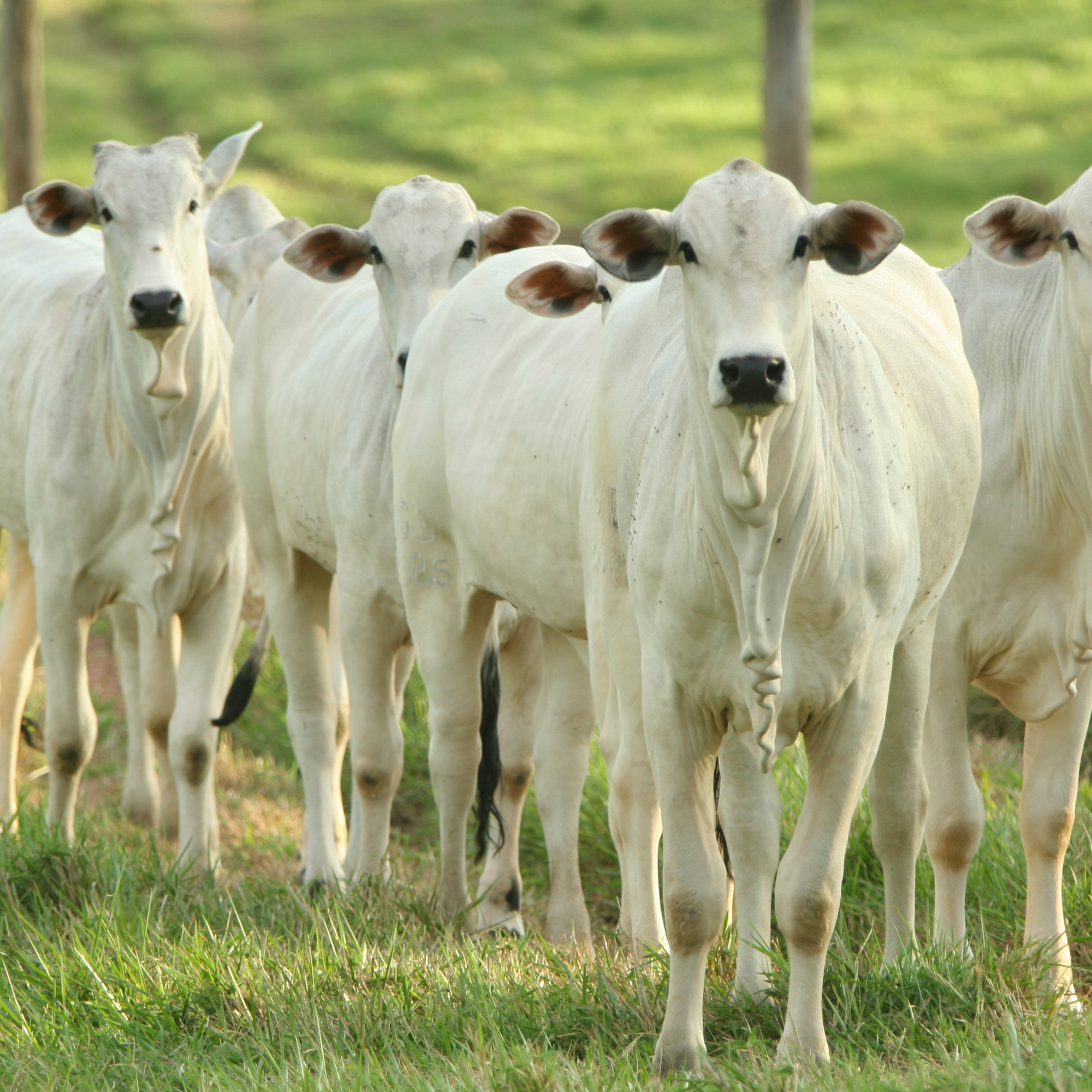 Participe das sessões de inovação no campo.